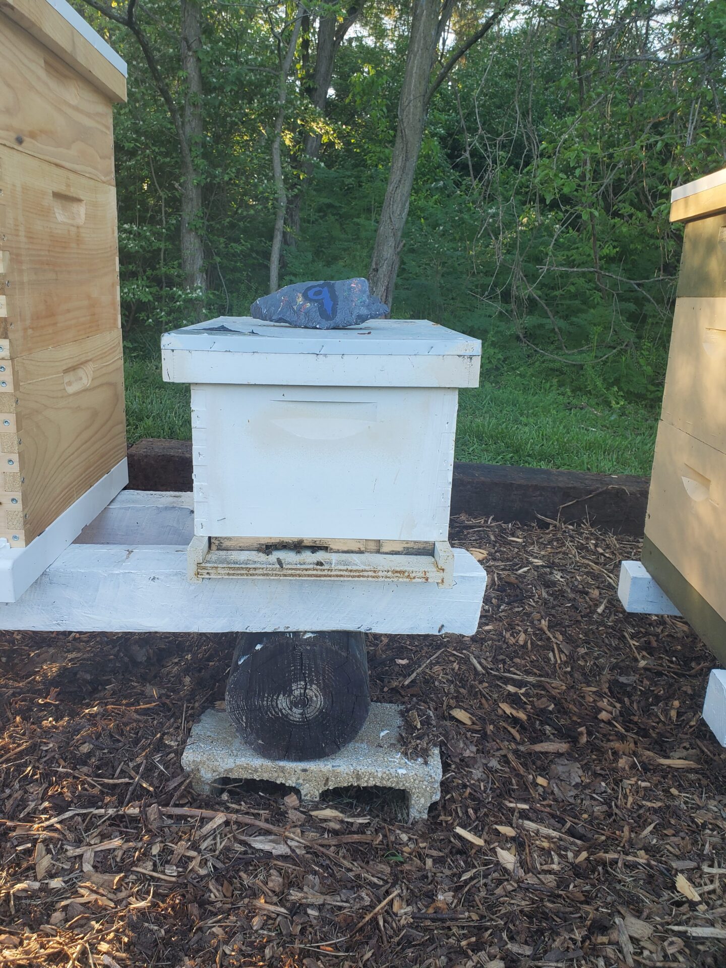 Bee Hives With Bees