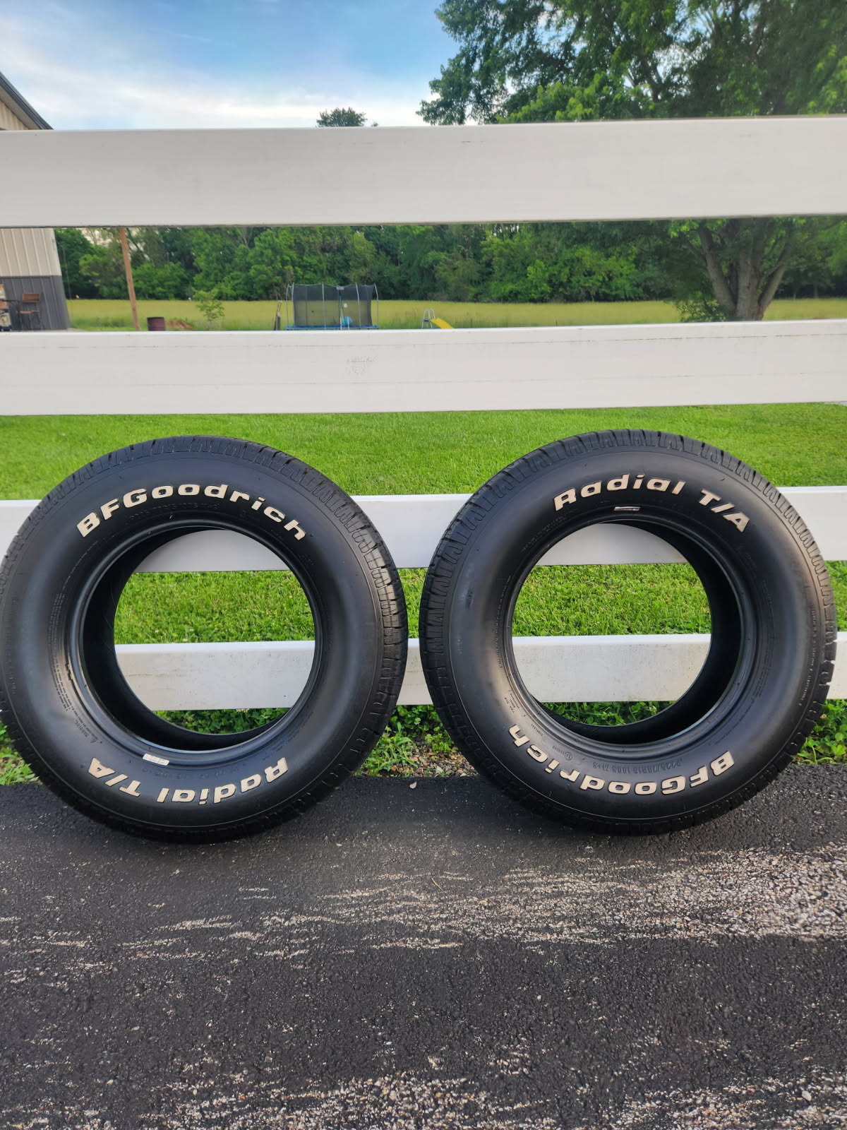 BF Goodrich Radials