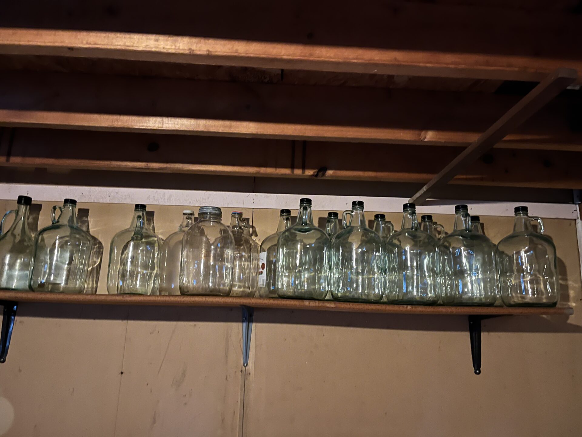 IMG_4571